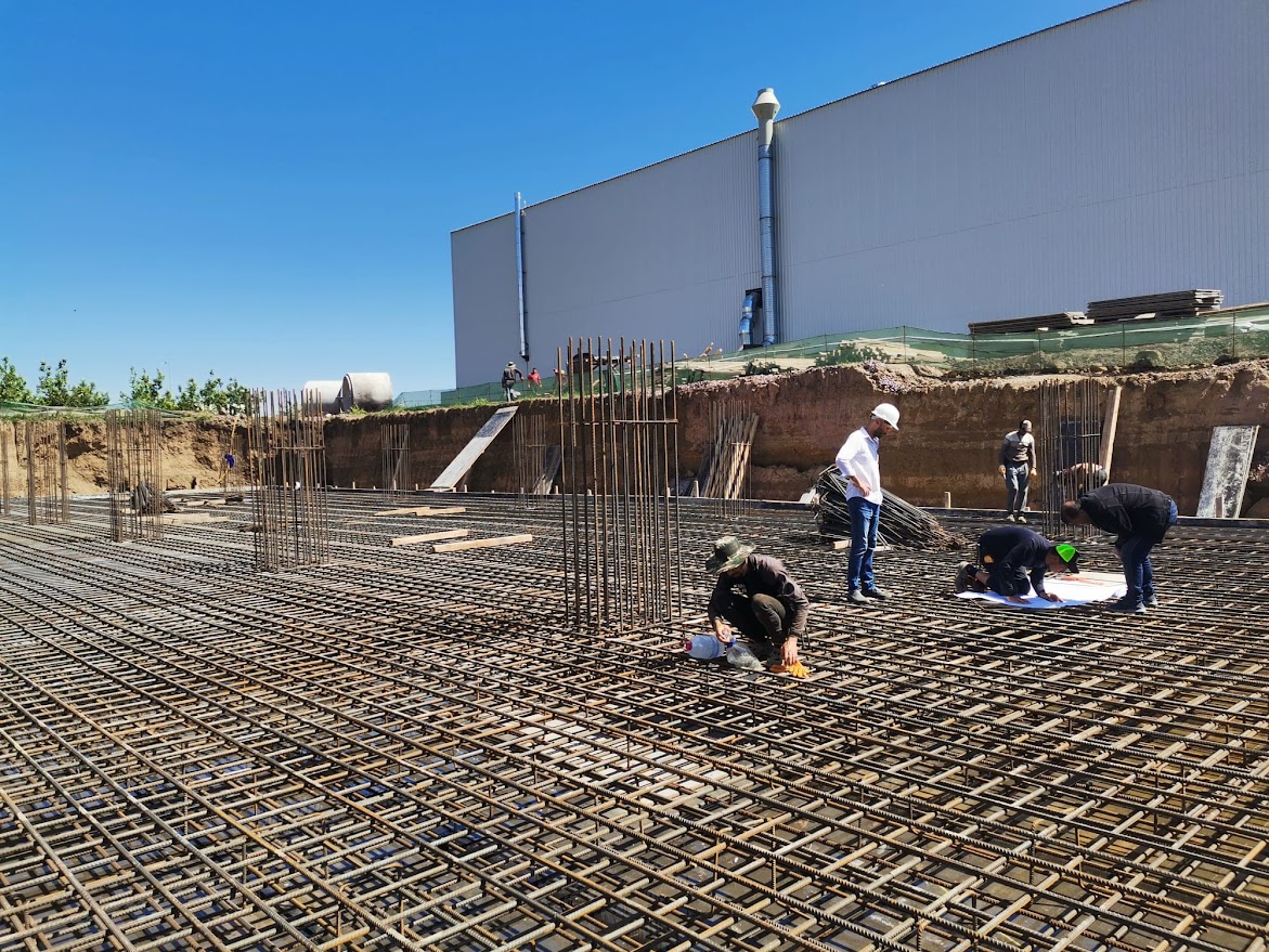 Kolon Filizleri ve Temel Donatısı Bütünlüğü